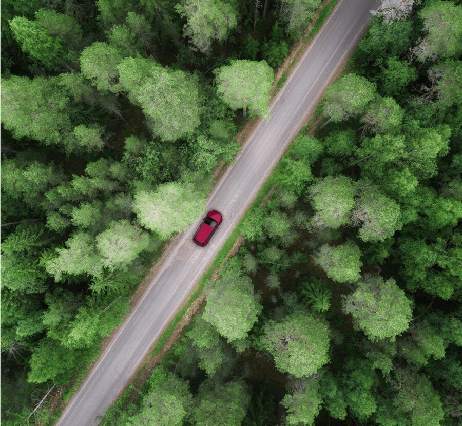 A red car driving through a forest