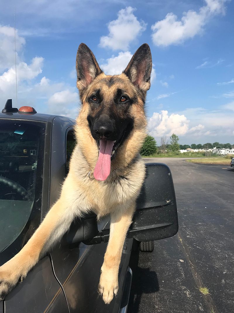 Tucker’s favorite hang-out spot