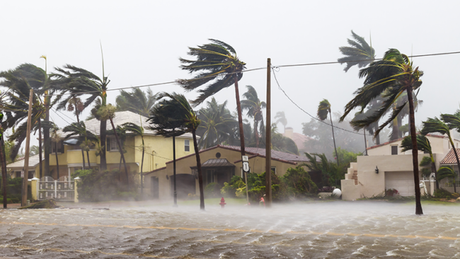 Helping small businesses survive hurricane season