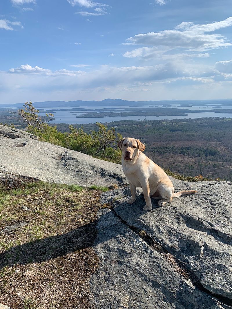 Jameson on a recent hike with Tyler and Livy in Moultonborough, New Hampshire off the Kancamagus Highway
