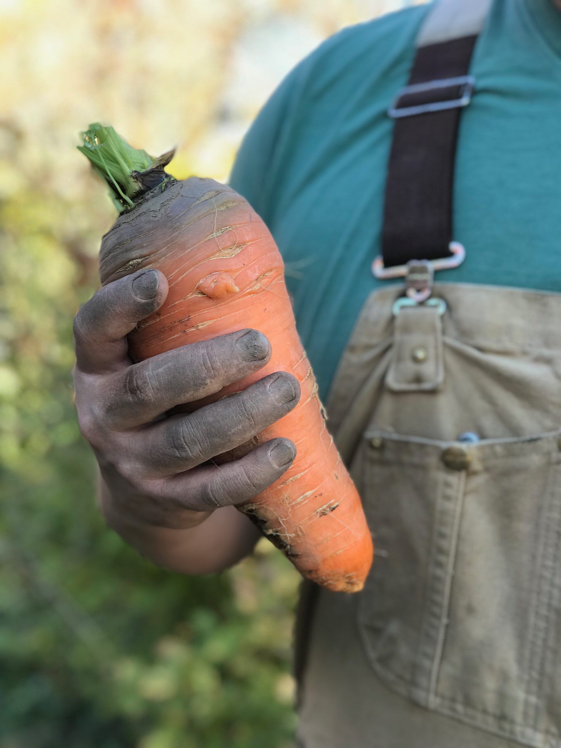 Karl holding one of the carrots he grew on his farm