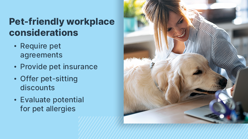 pet-friendly workplace