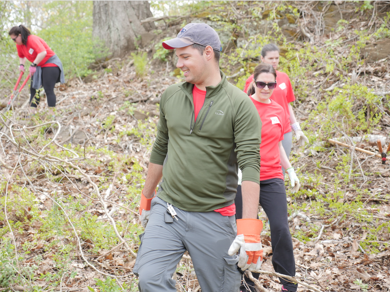 WEX employees volunteering in the woods