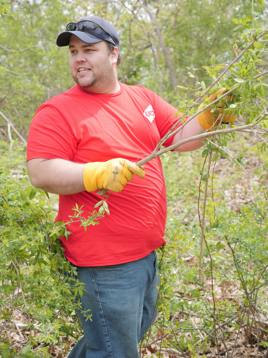 WEX employees volunteering in the woods
