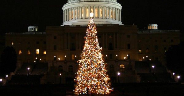 capitol christmas tree