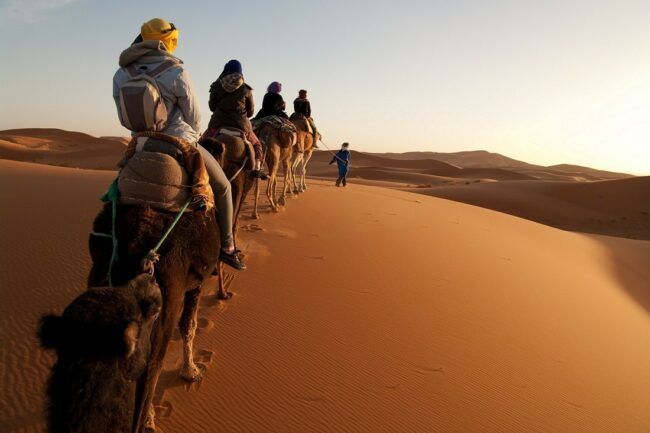 People on Camels