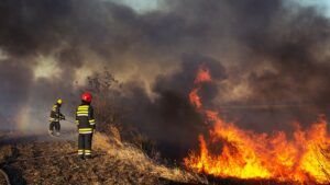 firefighters attempt to put out wildfire