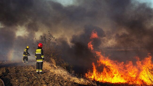 firefighters attempt to put out wildfire