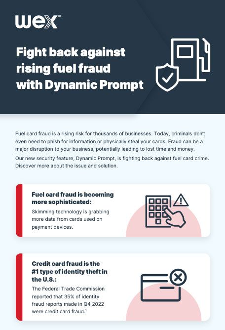 Dynamic Prompt infographic