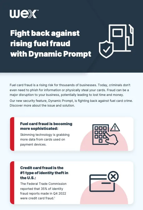 Dynamic Prompt infographic